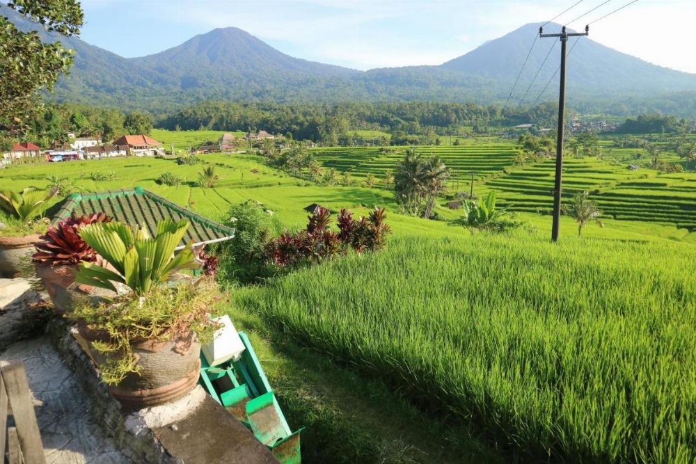 Sang Giri - Mountain Glamping Camp Image 32