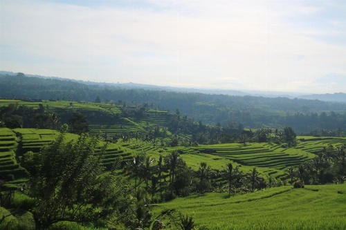 Sang Giri - Mountain Glamping Camp image 33