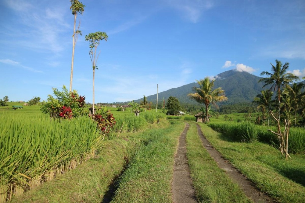 Sang Giri - Mountain Glamping Camp Image 35