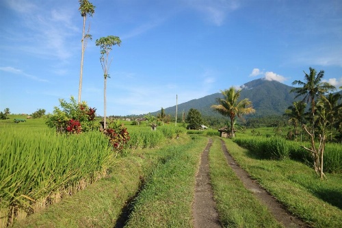 Sang Giri - Mountain Glamping Camp image 35