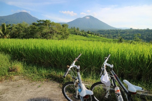 Sang Giri - Mountain Glamping Camp image 36