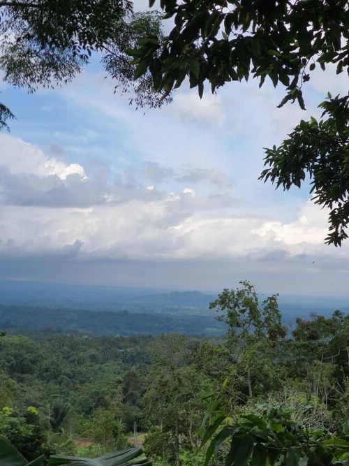 Sang Giri - Mountain Glamping Camp image 5